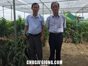 Hội làm vườn VN