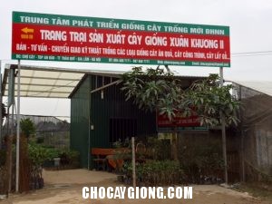 Trang Trại Xuân Khương 2