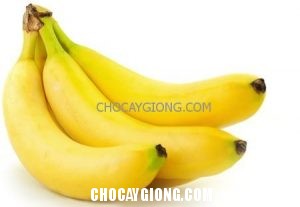 Phòng Và Trị Nấm Phấn Đen Hại Chuối