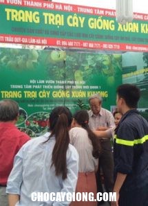 Cây Giống Xuân Khương