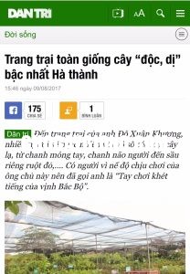 Báo Dân Trí Onlie