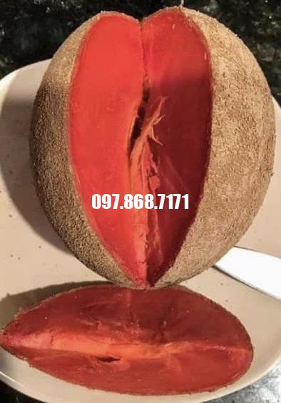 Hồng Xiêm Ruột Đỏ