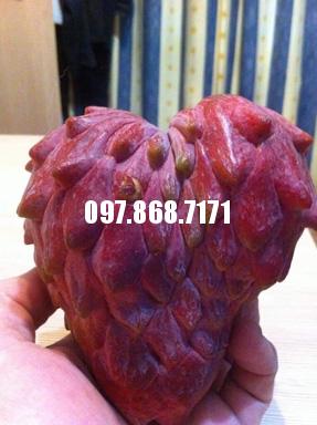 Na Đỏ Mỹ