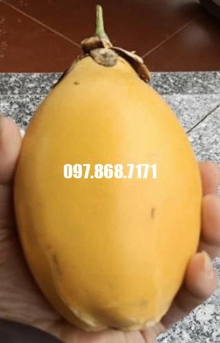 Chanh Leo Vàng Mỹ