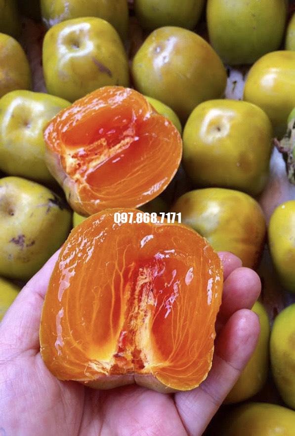 Hồng Da Tre