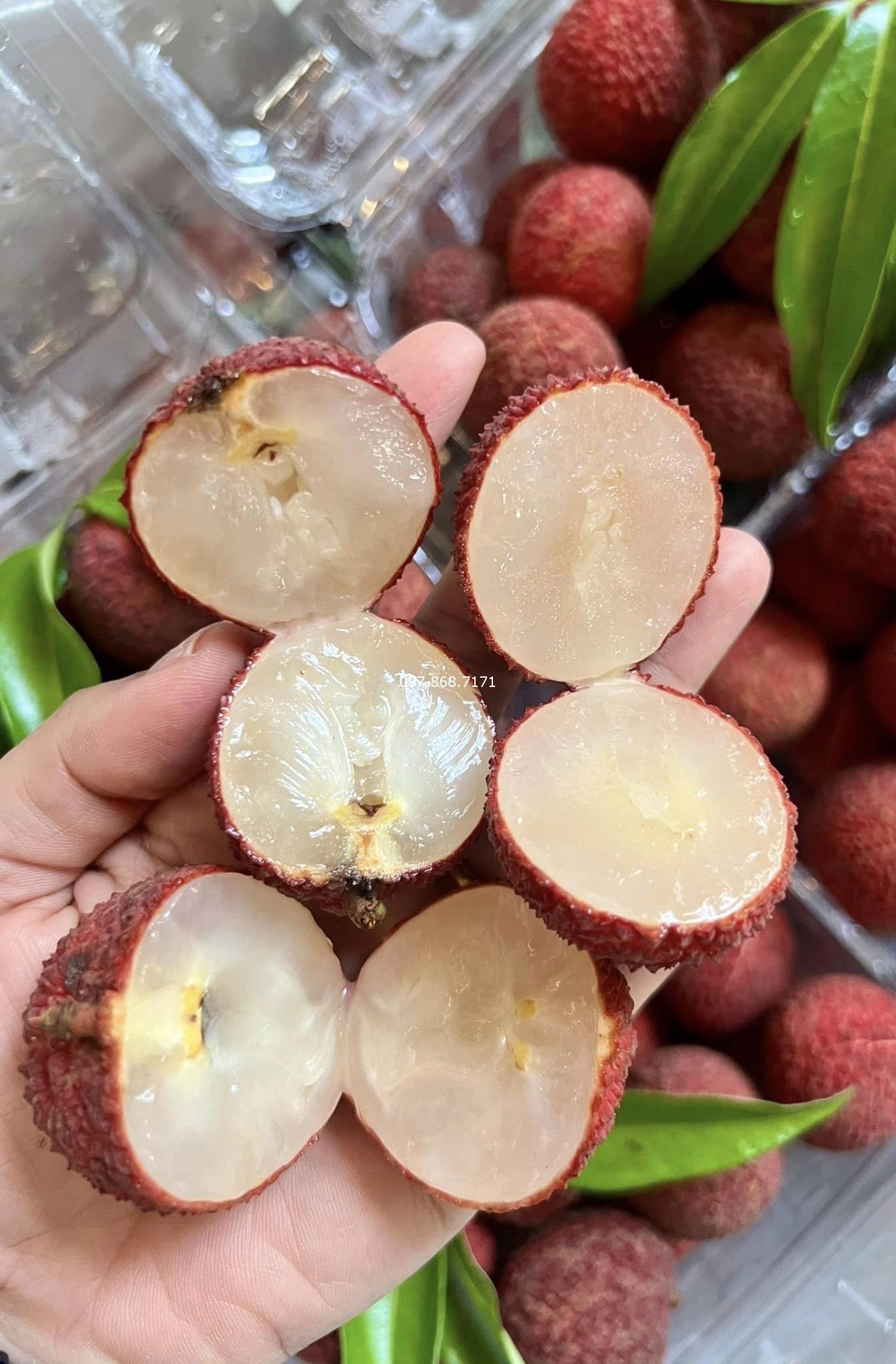 Vải Thiều Không Hạt