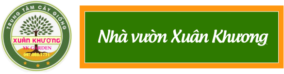 Trang trại cây giống Xuân Khương
