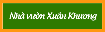 Trang trại cây giống Xuân Khương